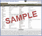 Sample Report